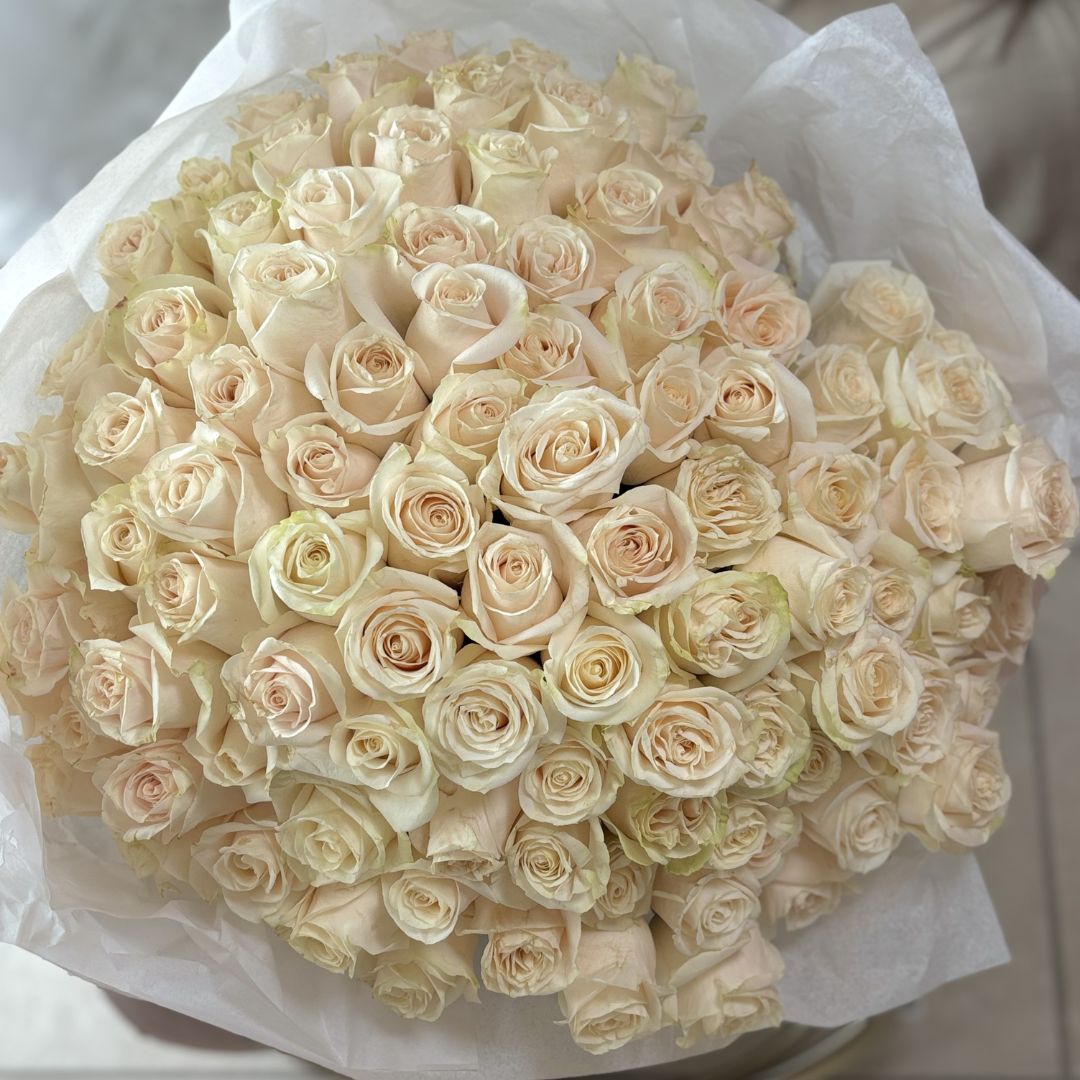 100 WHITE ROSES