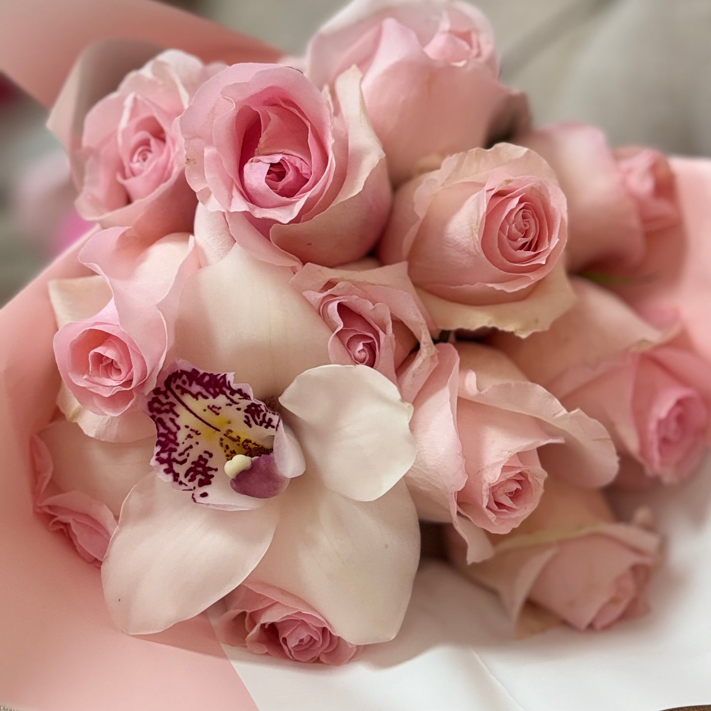 SIMPLE PINK